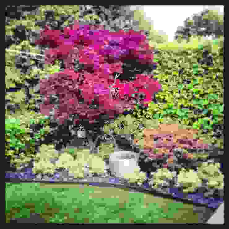 Azienda agricola Vivai Romeo Asiatischer Garten