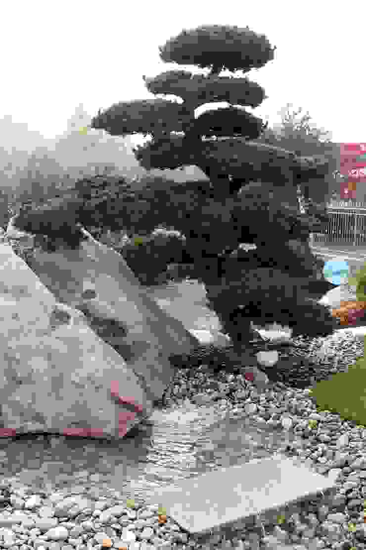 Azienda agricola Vivai Romeo Asiatischer Garten