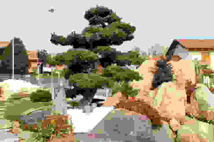 Azienda agricola Vivai Romeo Asiatischer Garten