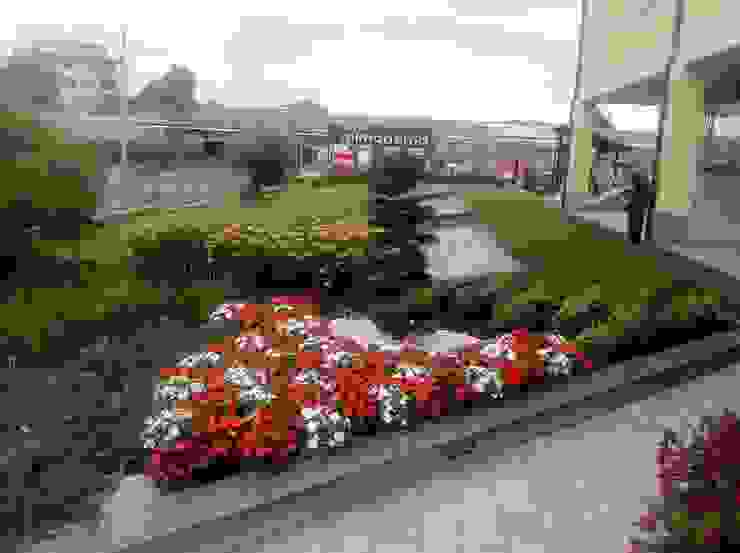 Azienda agricola Vivai Romeo Moderner Garten