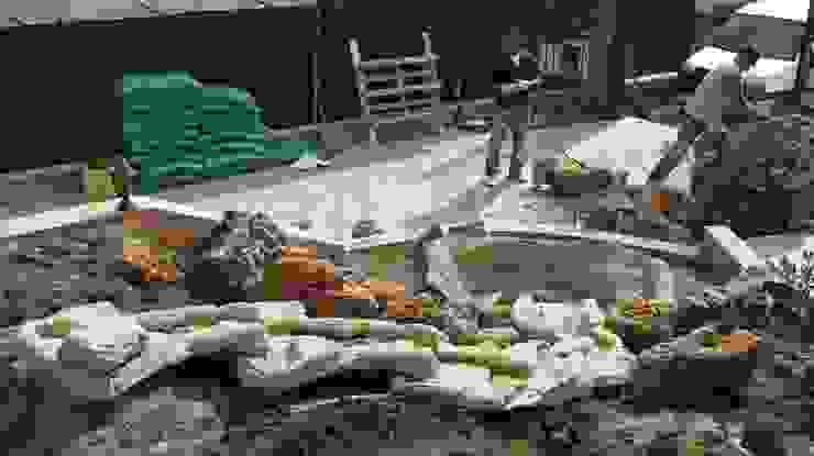 Azienda agricola Vivai Romeo