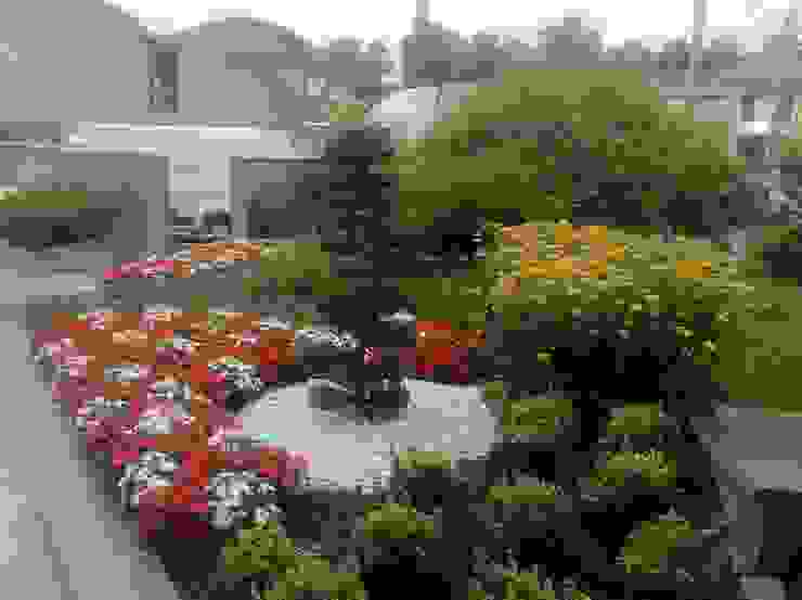 Azienda agricola Vivai Romeo Moderner Garten