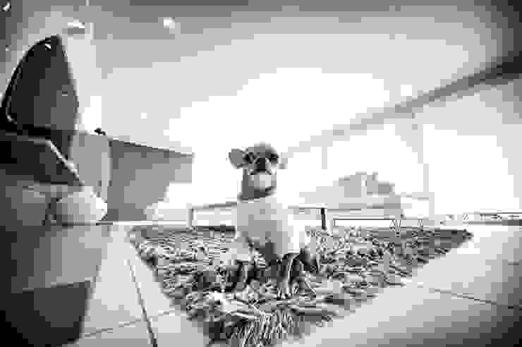 por Studio Farina Zerozero - Foto & Video Moderno