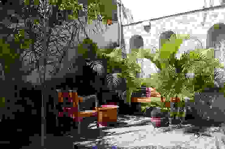 giardini tropicali, italiagiardini italiagiardini Tropical style garden