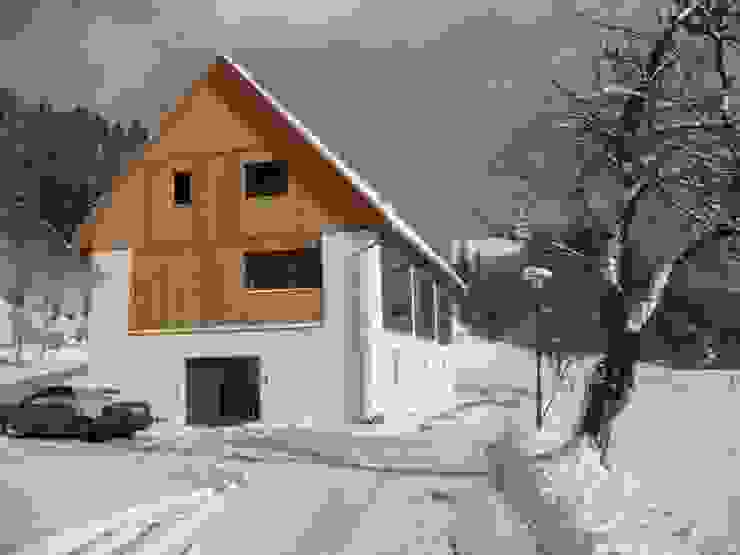Haus im Haus - Revitalisierung eines alten Stadels, Architekturbüro Reinberg ZT GmbH Architekturbüro Reinberg ZT GmbH