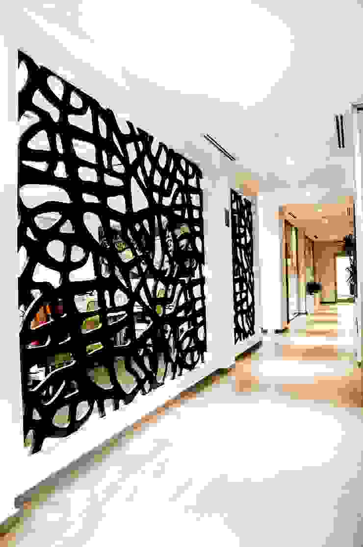 ARKOT arquitectura + construcción 모던스타일 복도, 현관 & 계단