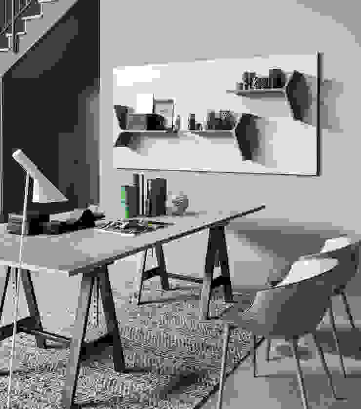 Magnetika system - magnetic shelves and metal panel Ronda Design Abstellraum Aufbewahrung