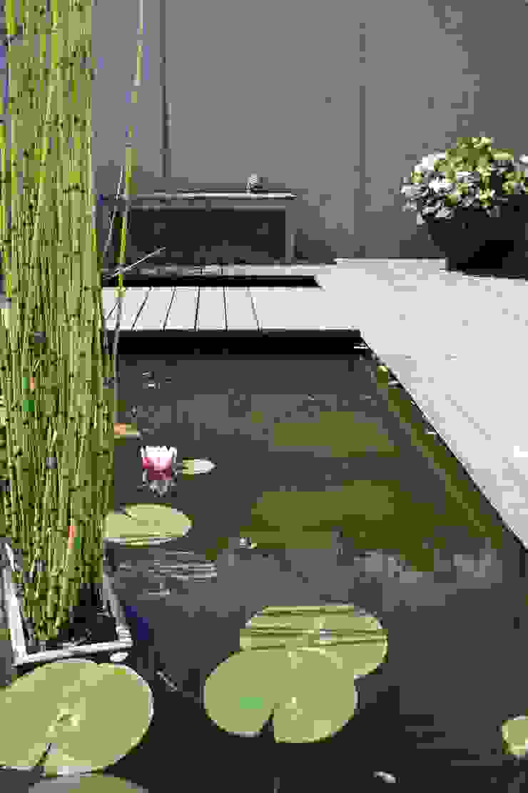 Gartenhof Koln Von Planungsburo Garten Und Freiraum Homify