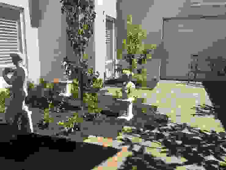 Duncraig Project Project Artichoke Modern garden