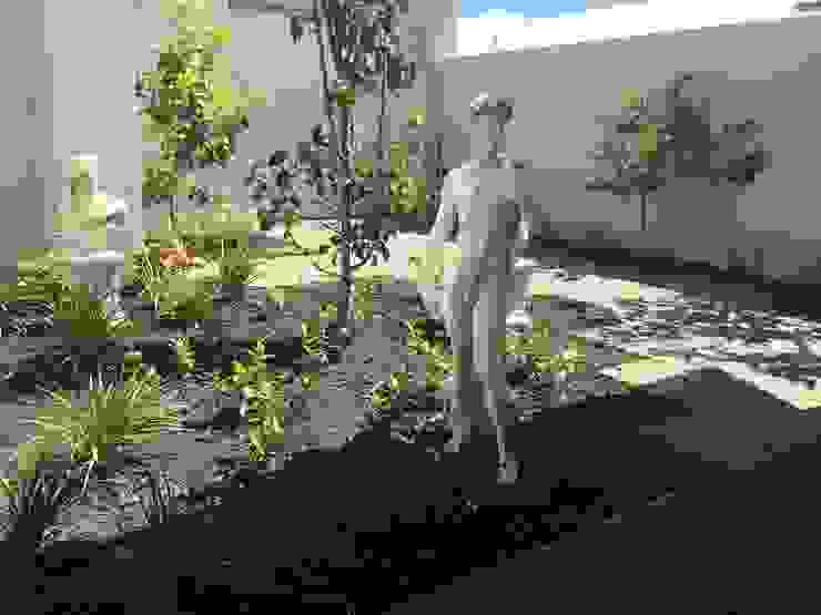 Duncraig Project Project Artichoke Modern garden