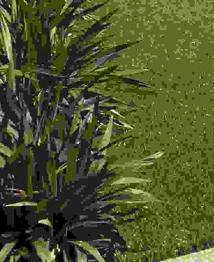 Duncraig Project Project Artichoke Modern garden