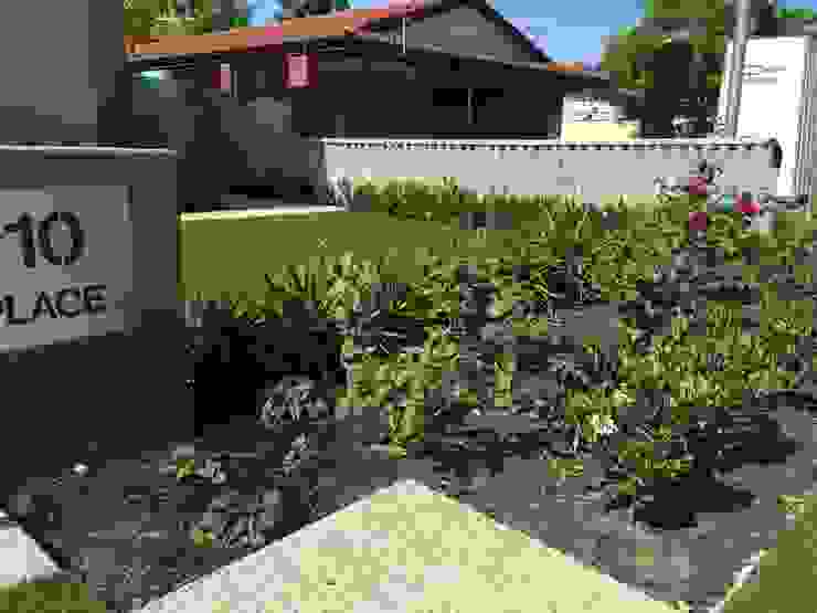 Duncraig Project Project Artichoke Modern garden