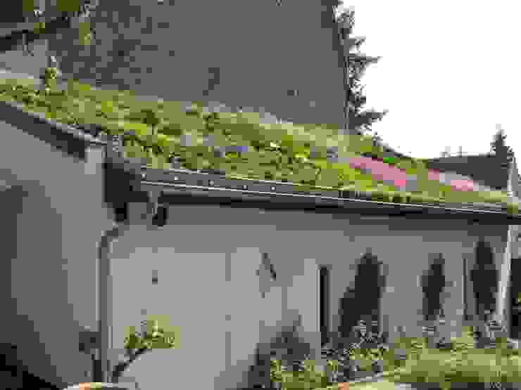 Intensiv Dachbegrünung Bauernhof, Nagelschmitz Garten- und Landschaftsgestaltung GmbH Nagelschmitz Garten- und Landschaftsgestaltung GmbH Mediterraner Garten Pflanze,Gebäude,Blume,Eigentum,Fenster,Himmel,Tür,Blumentopf,Die Architektur,Baum