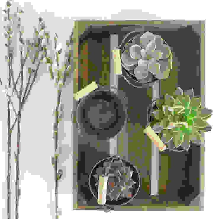 Traditional Wooden Seed Tray Lilac Coast Garten im Landhausstil Blumentöpfe und Vasen