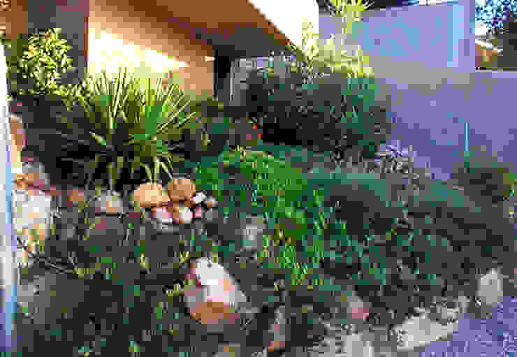 italiagiardini Mediterranean style garden