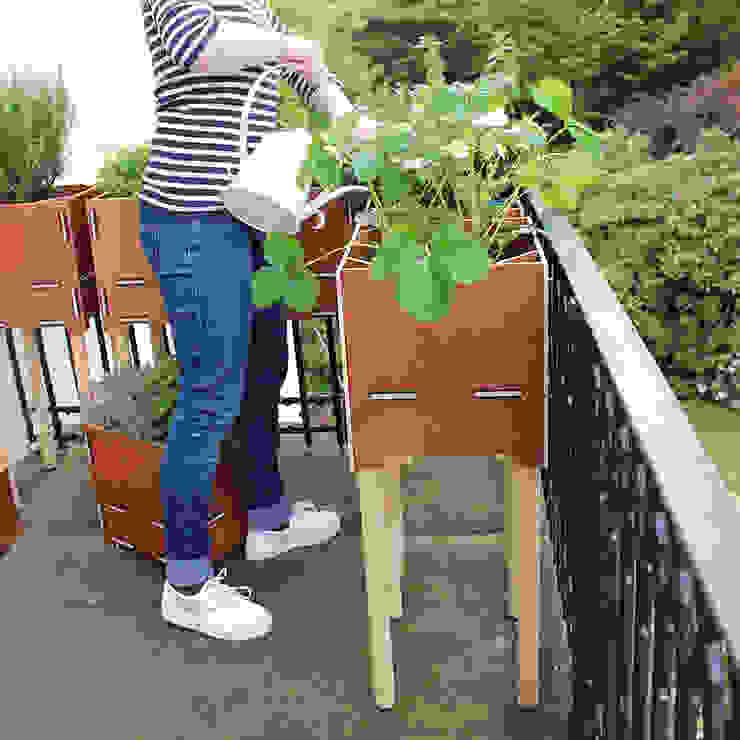 Pflanzboxen – die kleinen Hochbeete für den Balkon Werkhaus Design + Produktion GmbH Skandinavischer Balkon, Veranda & Terrasse Garten,Indoor Garten,Indoor Kräutergarten,Balkon,Blumenkasten,Pflanzen,Pflanzen und Blumen