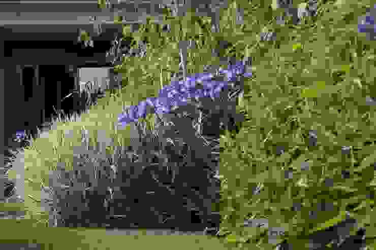 6 cosas que no pueden faltar en el diseño de tu jardín | homify