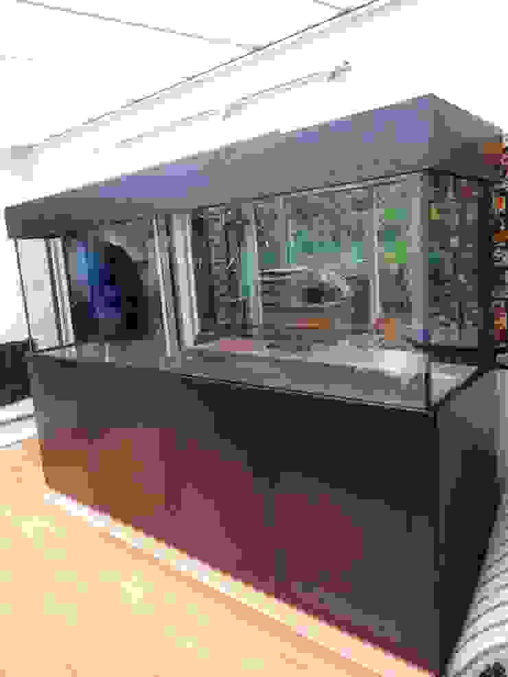 77+ Aquarium Hood Design Terbaru