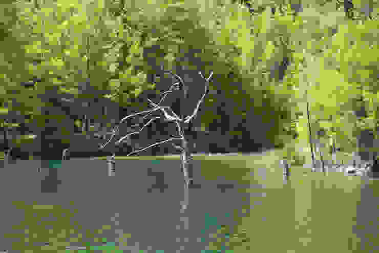 SAKLI GÖL EVLERİ Jardines de estilo mediterráneo