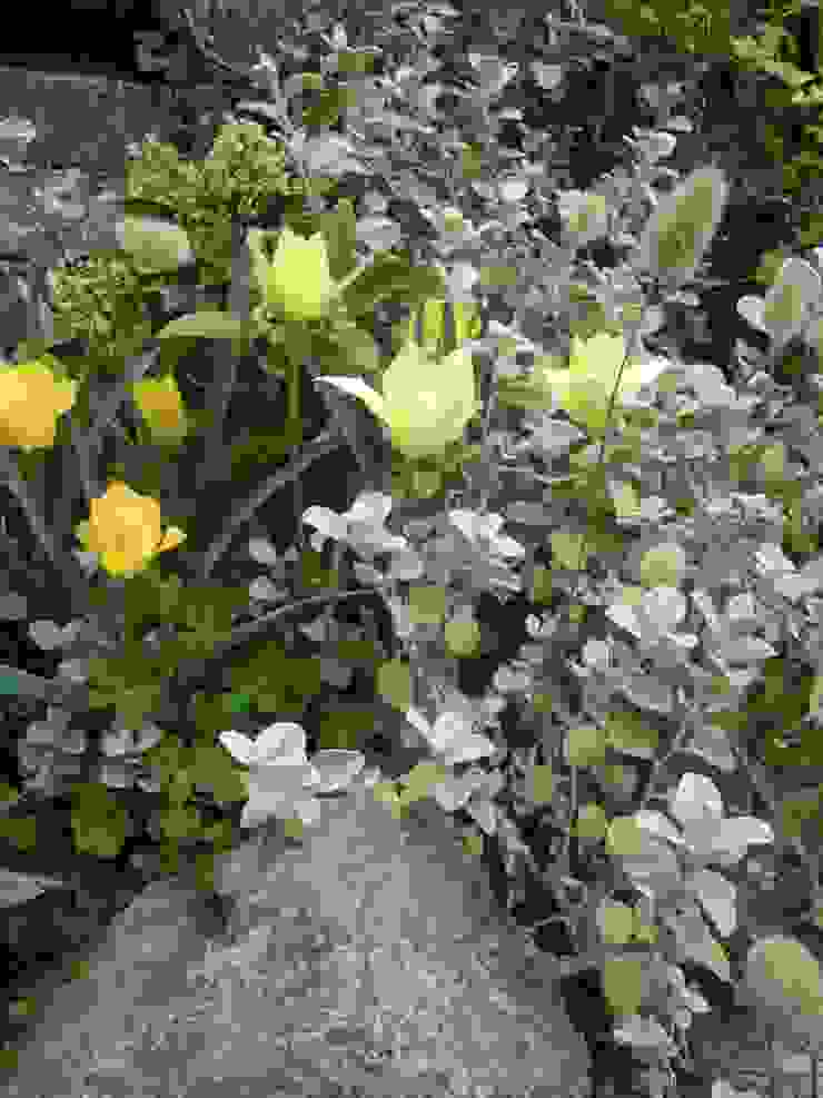 green team co Giardino in stile mediterraneo