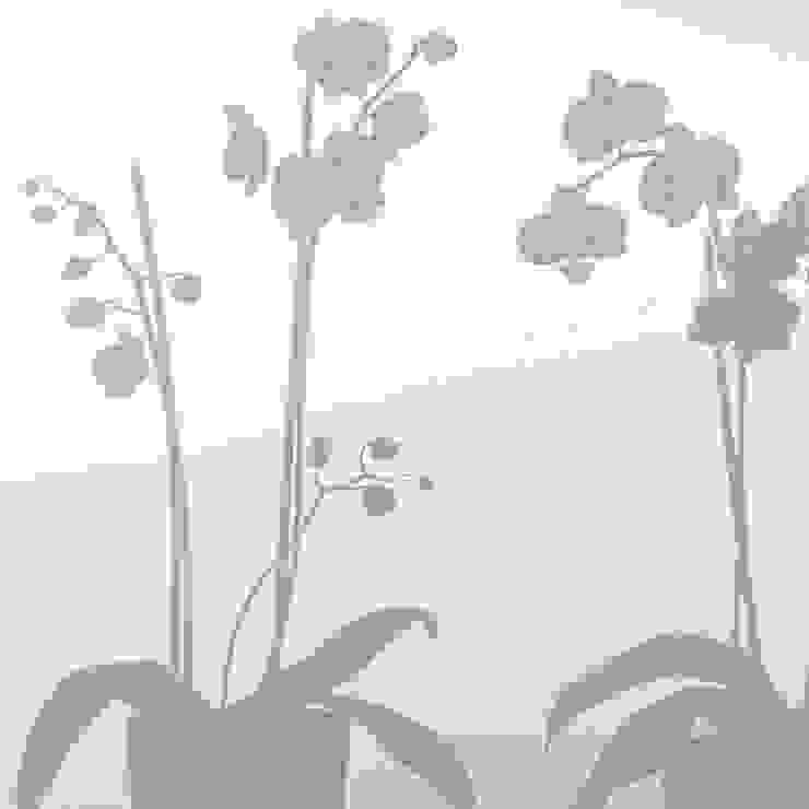 Orchids in Pots BY MAY/ Siluett Frost Window Film Windows & doors Window decoration