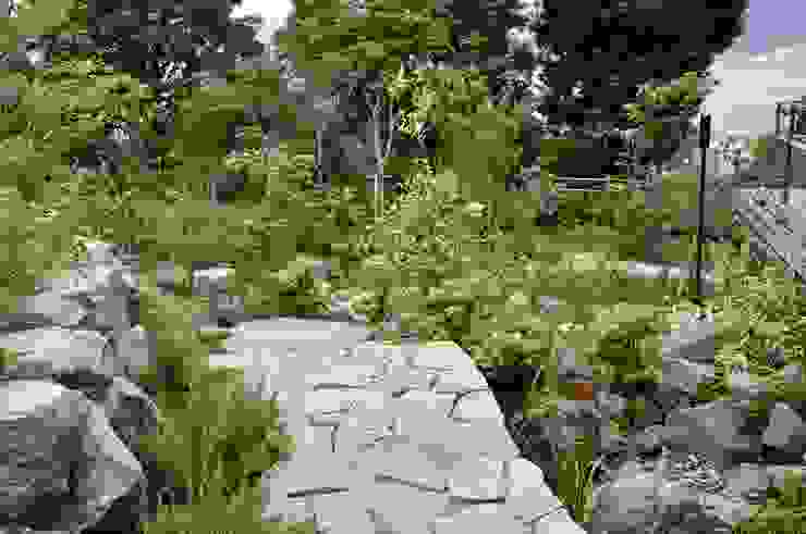 真鶴（まなづる） 断崖に立つ家のランドスケープ, 有限会社 温室 有限会社 温室 オリジナルな 庭
