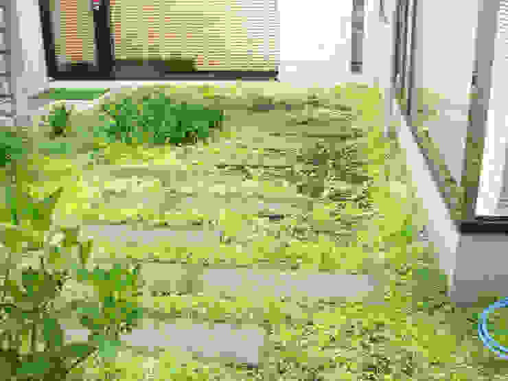 弱みを活かす アナベル 西洋アジサイ が咲き乱れる庭 Homify 弱みを活かす アナベル 西洋アジサイ が咲き乱れる庭 Homify
