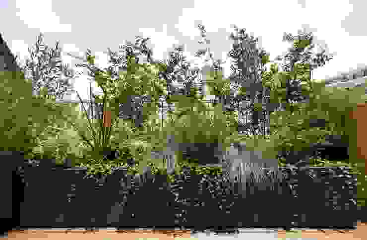バルコニーで楽しむハーブガーデン, SUNIHA UNIHA（サニハユニハ） SUNIHA UNIHA（サニハユニハ） オリジナルな 庭 雲,空,植物,植物群落,植物学,植生,低木,草,陸生植物,エバーグリーン