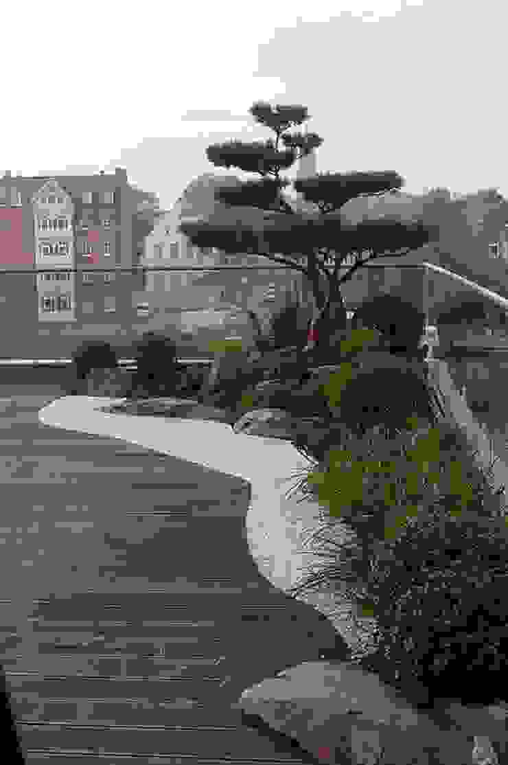 Über den Dächern von Leer, Kokeniwa Japanische Gartengestaltung Kokeniwa Japanische Gartengestaltung Jardines de estilo asiático