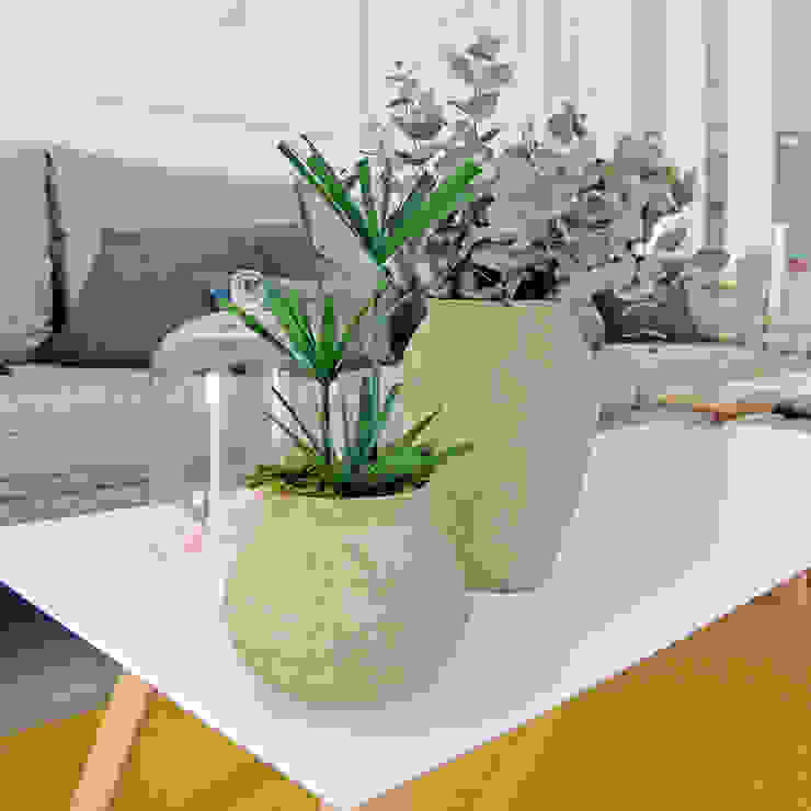 Duo végétal Adventive Salon original Fibre naturelle Vert Plante,Table,Meubles,Biens,Pot de fleur,Plante d&#39;appartement,Canapé,Rectangle,Vase,Design d&#39;intérieur