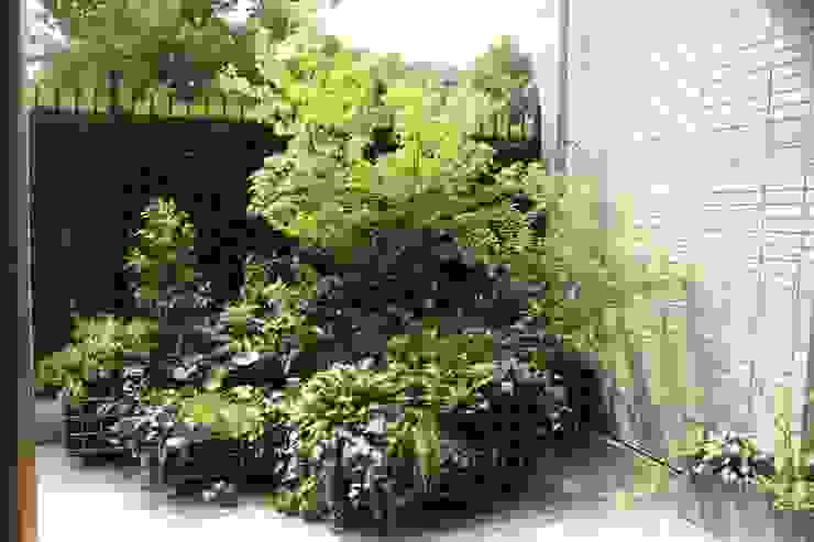 緑あふれるバルコニーガーデン Homify