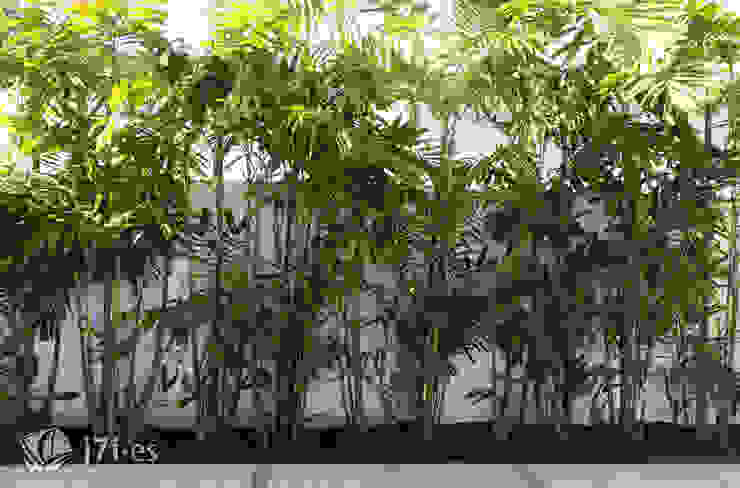 7 detalles para una pared tropical, Jardineria 7 islas Jardineria 7 islas Jardines de estilo tropical Flor,Planta,Amarillo,Vegetación,planta terrestre,arecales,Ramita,Planta de casa,Árbol,Planta floreciendo