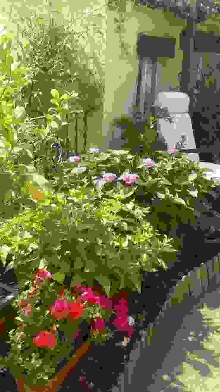 Varandas, marquises e terraços mediterrânicos por Vicente Galve Studio Mediterrânico