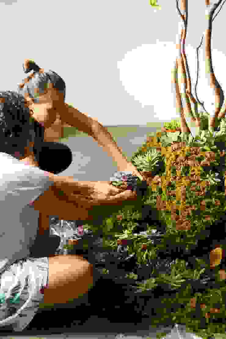 Luiza Soares - Paisagismo Rustic style garden