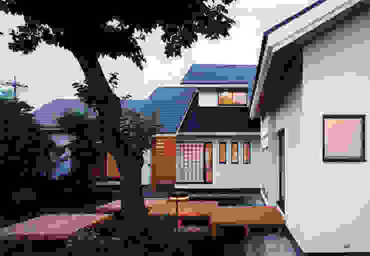 禅次丸の木のある家, 加藤將己／将建築設計事務所 加藤將己／将建築設計事務所 モダンな 家