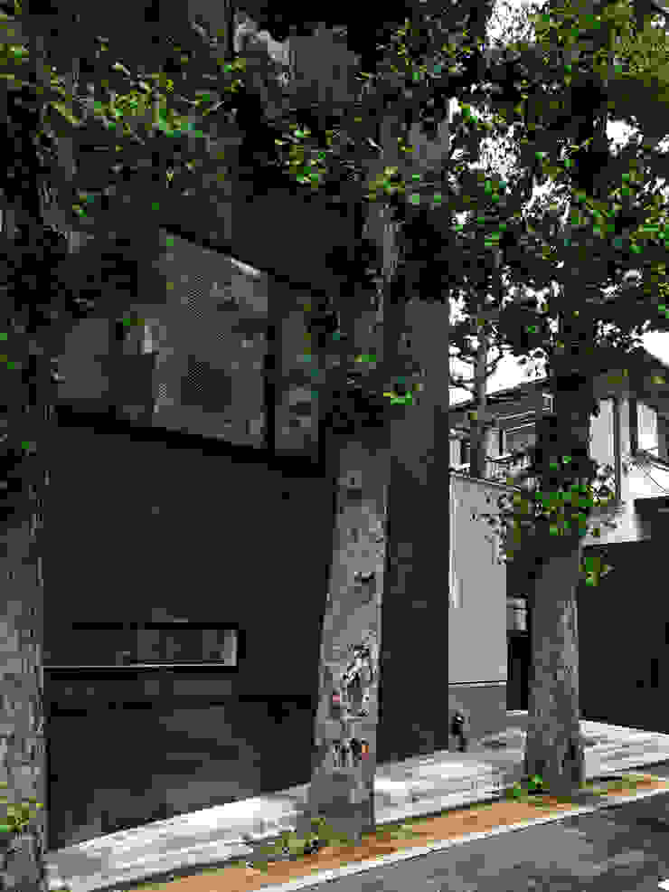 TOKYO TREE HOUSE, アトリエハコ建築設計事務所／atelier HAKO architects アトリエハコ建築設計事務所／atelier HAKO architects