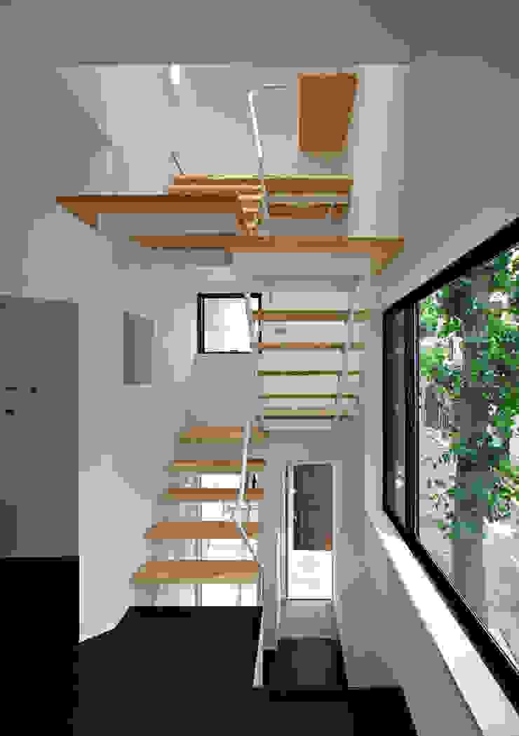 TOKYO TREE HOUSE, アトリエハコ建築設計事務所／atelier HAKO architects アトリエハコ建築設計事務所／atelier HAKO architects