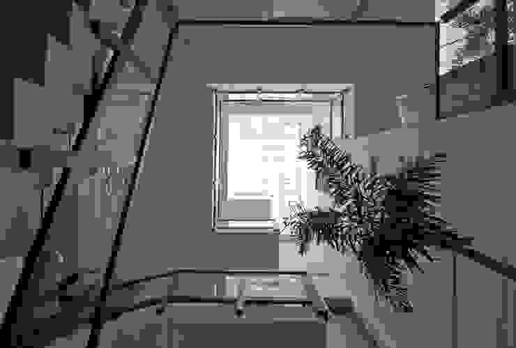 Muraliarchitects 모던스타일 복도, 현관 & 계단