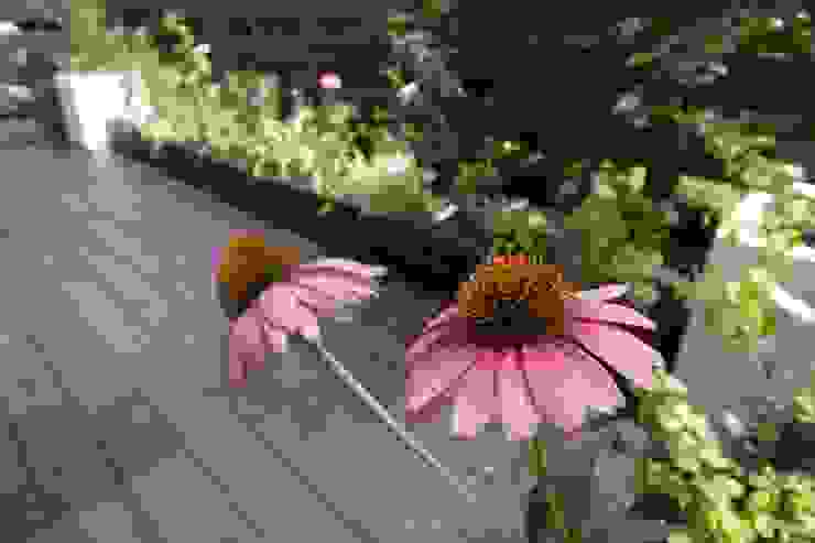 T's Garden Square Co.,Ltd. GartenMöbel