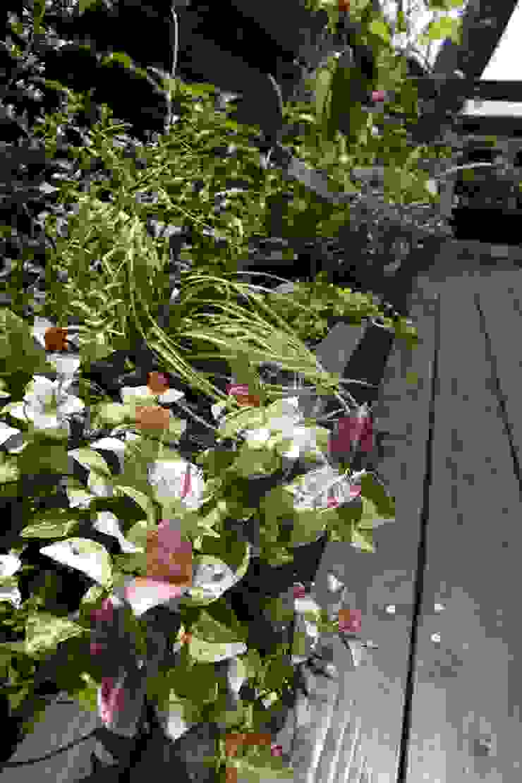 T's Garden Square Co.,Ltd. Wände & BodenWand- und Bodenbeläge