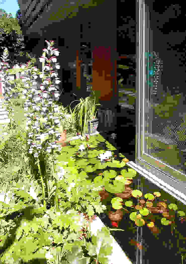 庭と一つになる家 ユミラ建築設計室 モダンな庭 木 植物,財産,建物,植物学,葉,花,植生,陸生植物,草,木