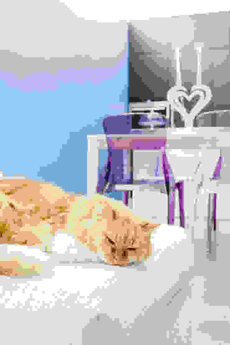 23bassi studio di architettura Dining roomAccessories & decoration