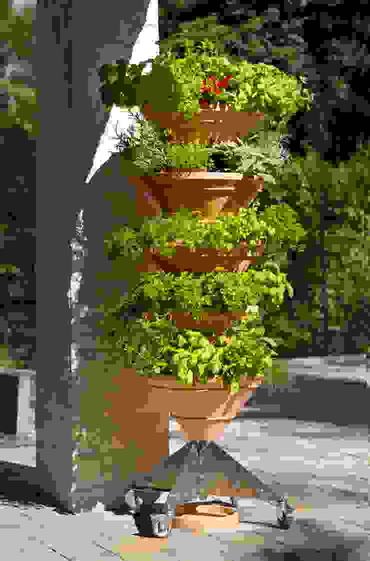 homify Minimalistischer Balkon, Veranda & Terrasse Pflanzen und Blumen