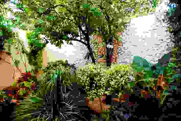 Patio Amarillo Taller Estilo Arquitectura Jardines modernos