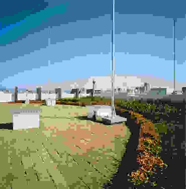 あお建築設計 Modern Garden Wood Multicolored