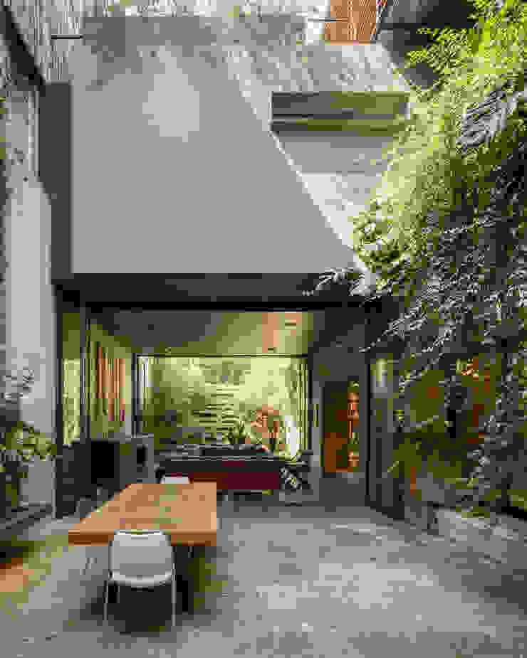 Casa PN, ZD+A ZD+A Eclectic style garden