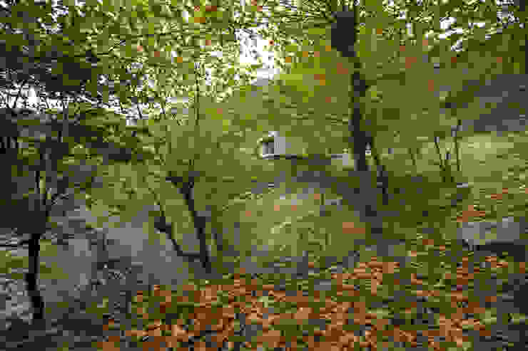 Casa no Gerês Modern houses by CORREIA/RAGAZZI ARQUITECTOS Modern