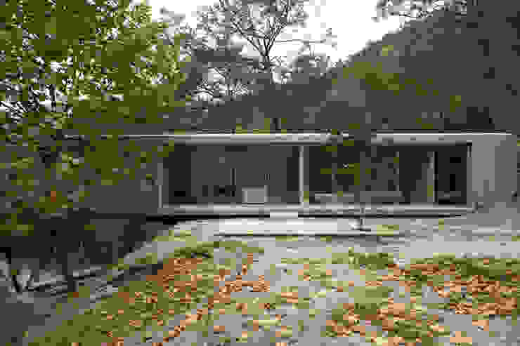 Casa no Gerês Modern houses by CORREIA/RAGAZZI ARQUITECTOS Modern