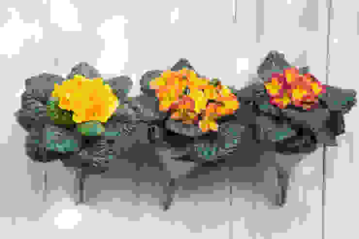 Pflanzenfreude.de Balconies, verandas & terraces Plants & flowers