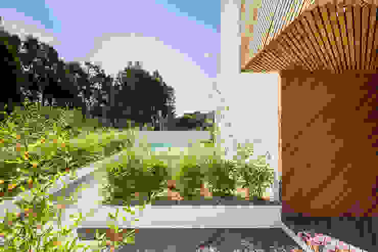 SilverWoodHouse Joao Morgado - Architectural Photography Giardino moderno